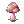 Orange Net Mushroom
