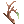 Strong Branch