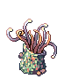 Hydra