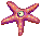 Aster