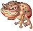 Poison Toad