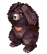 Zipper Bear
