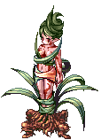 Dryad