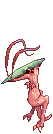 Novus