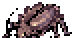 Thief Bug