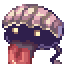 Shellfish