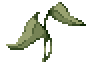Green Plant
