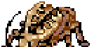 Golden Thief Bug