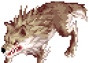 Desert Wolf