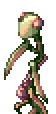 Mantis