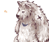 Sasquatch