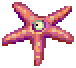 Aster