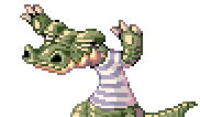 Alligator