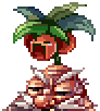 Hermit Plant