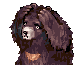 Zipper Bear