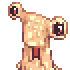 Novus