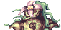 Jungle Madragora